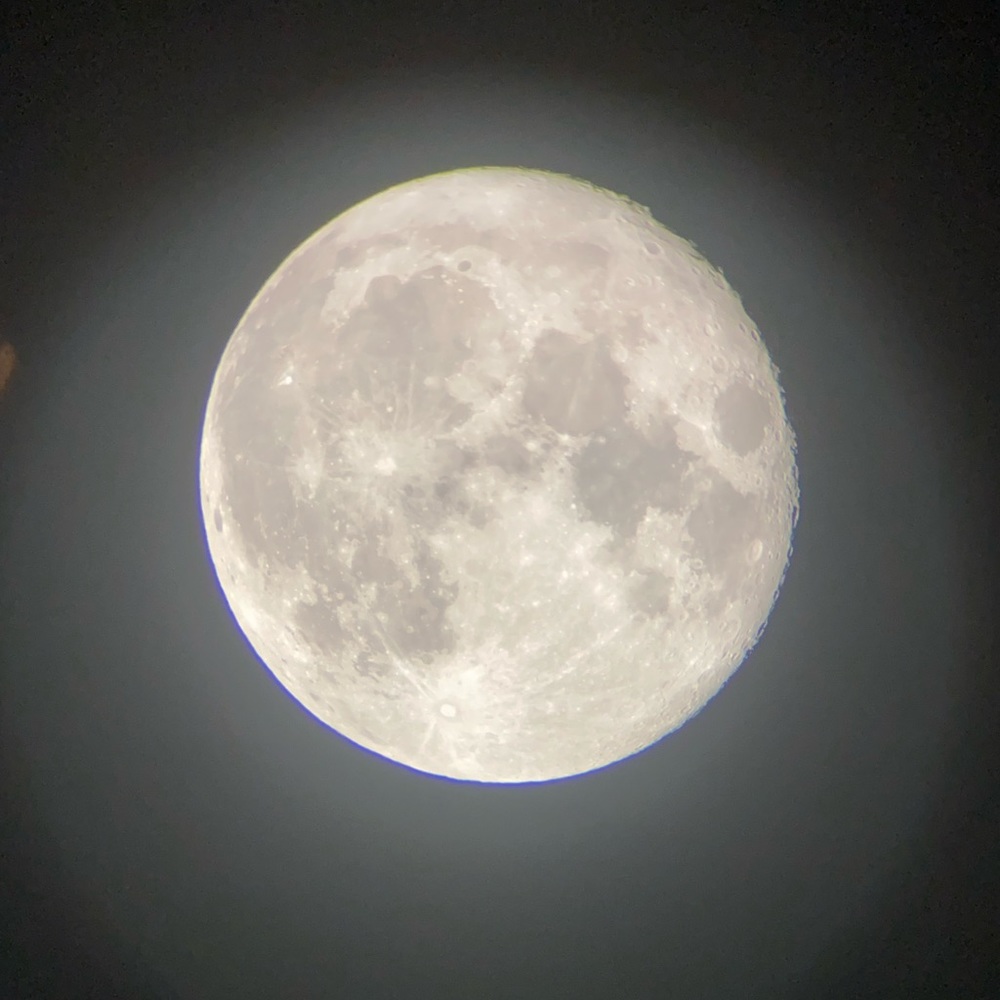 Meet your Posher, Jodie